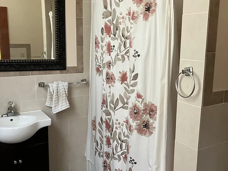 Downstairs bath