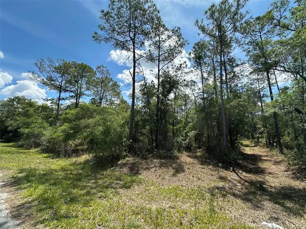 12184 W ARBORVITAE PLACE LOT 3, CRYSTAL RIVER, FL 34428
