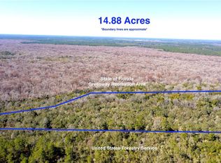 NE 170th Avenue Rd Lot 9, Fort Mc Coy, FL 32134