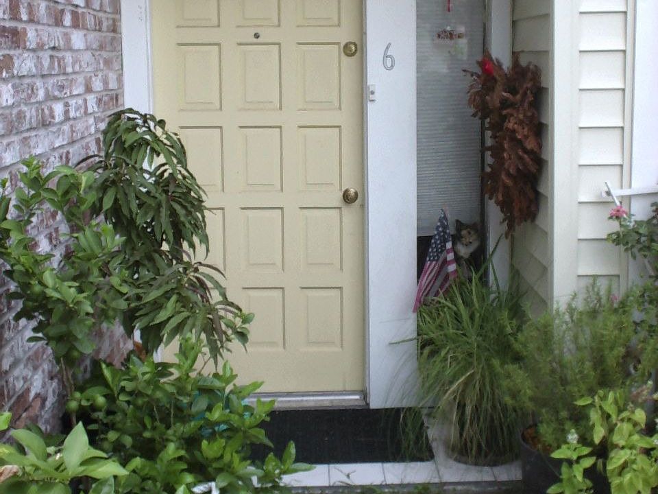 Front Door-cat optional.HA!