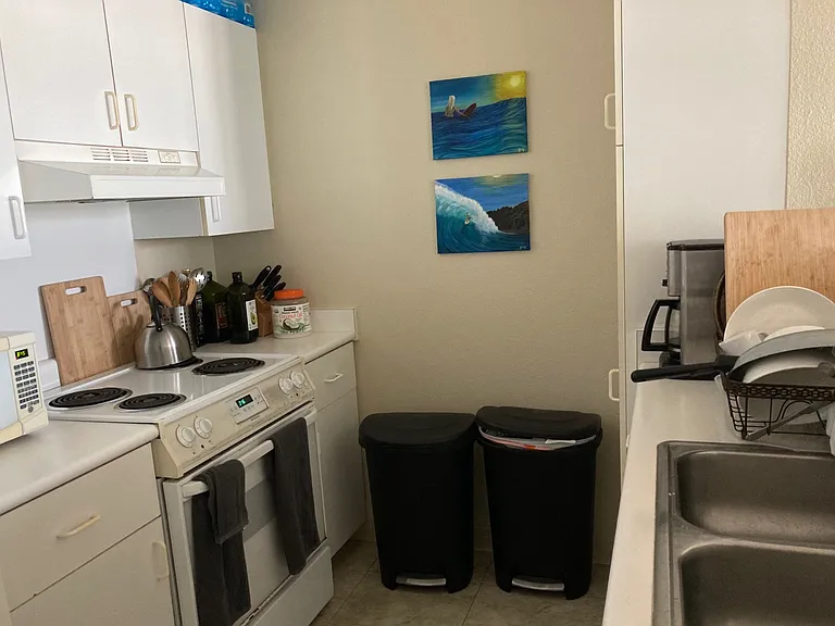1133 Waimanu St #403 — Photo 3