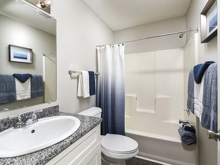 Ashley Guest Bathroom