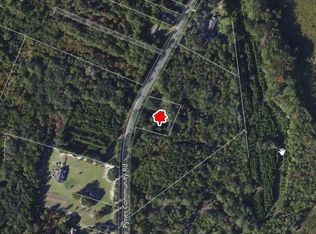 965 Pynes Community Rd, Green Pond, SC 29446