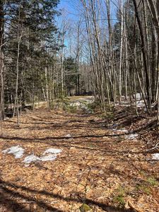 Lot 178 Map 20, Dole School House Road, Washington, NH, 03280