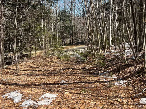 Lot 178 Map 20, Dole School House Road, Washington, NH 03280