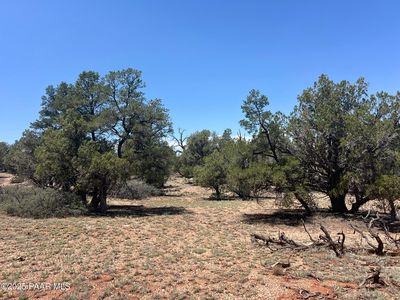249 W Kings Ranch Rd, Ash Fork, AZ, 86320