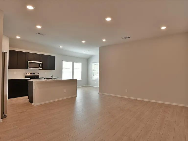 1233 Wilkins Valley St — Photo 3