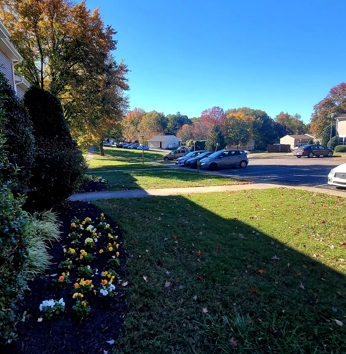 2 bed, 800 sqft, $1,195 — Photo 4