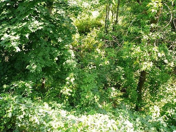 Enjoy The Private Back Yard And Nature