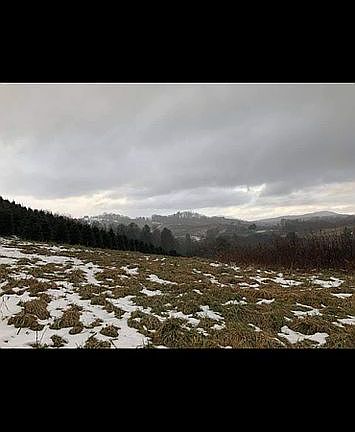 3rd image of 830 Buck Mountain Rd