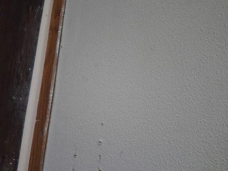 Walls