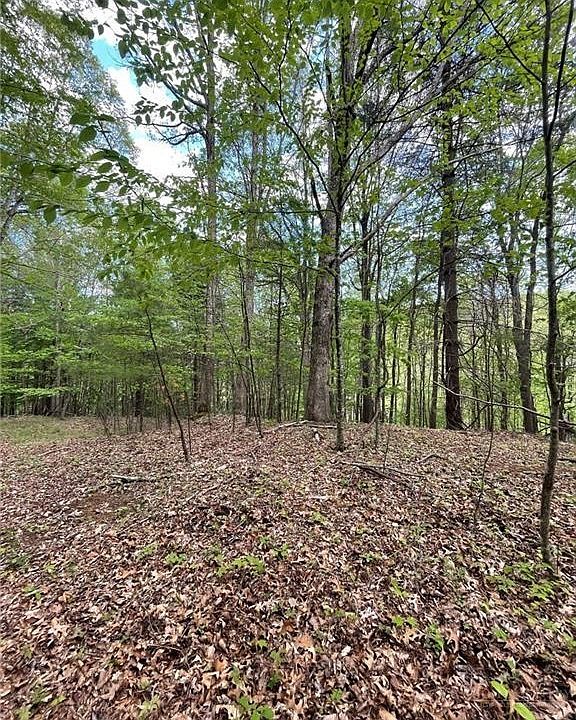 1st image of TBD Edwin Blevins Road