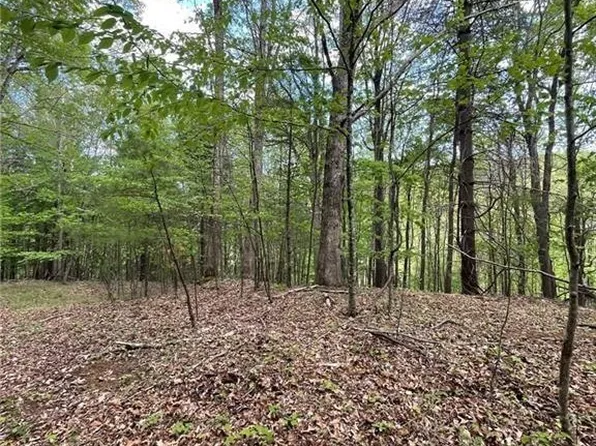 TBD Edwin Blevins Road, Jefferson, NC 28640