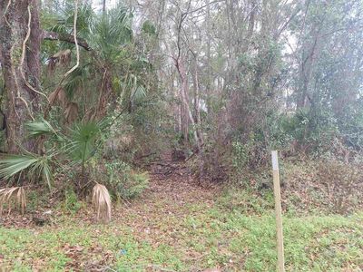 115 E Harris St, Palatka, FL, 32177