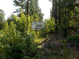 118 Briar Hill Ln, Coldspring, TX 77331