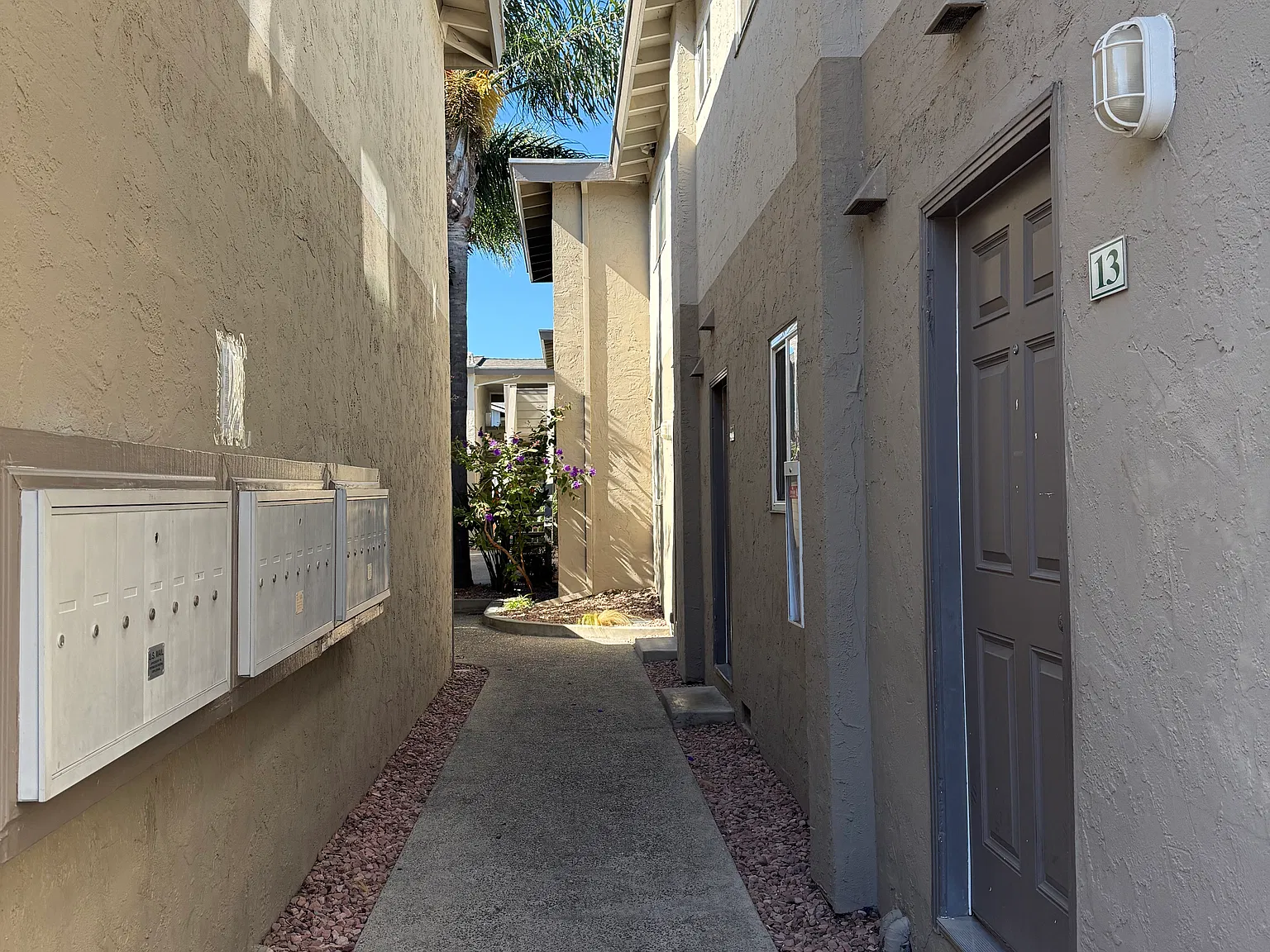 2 bed, 850 sqft, $3,125 — Photo 4