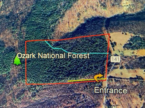 (undisclosed Address), Ozone, AR 72854