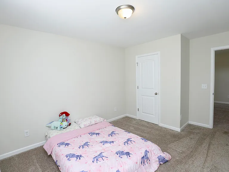 17 Carriagebrook Cir — Photo 42