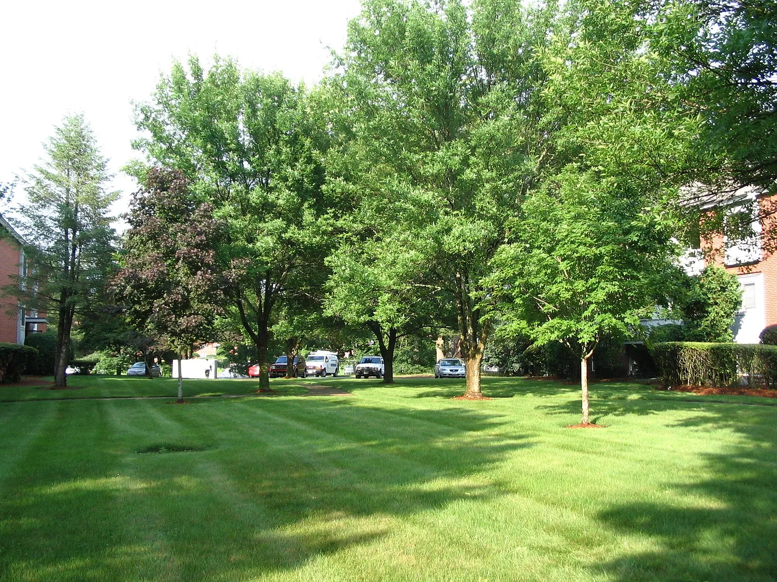 117 Cluff Crossing Rd — Photo 2