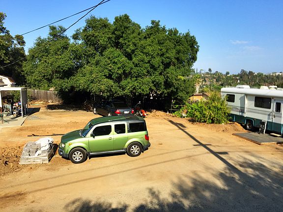Beautiful oak trees.