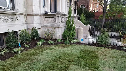 Rented by Citi Habitats