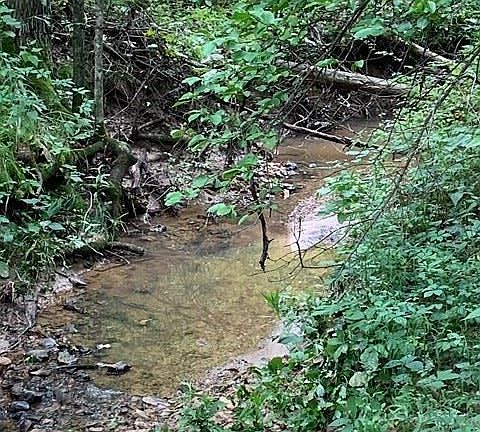3rd image of 0 Pinecrest Dr