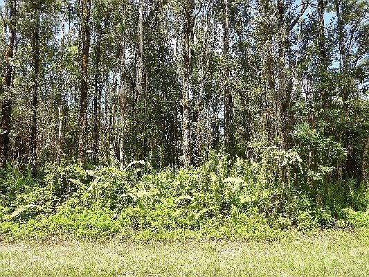 3rd image of 14-3551 Hilo Ln #255