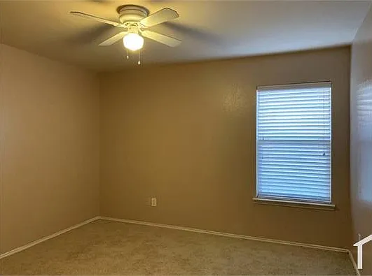 510 Indian Paintbrush #TX — Photo 15
