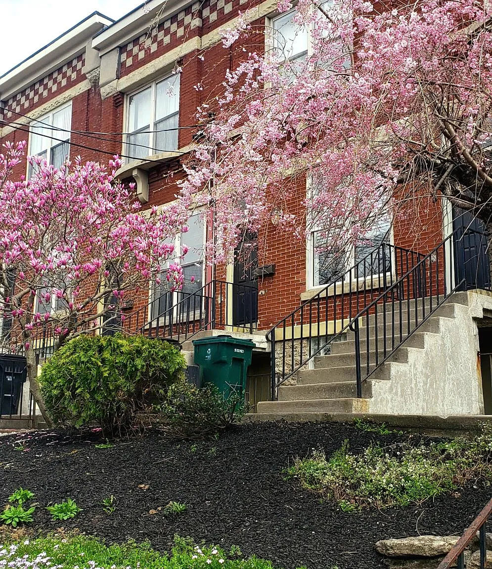 3 bed, 2.5 bath, 1500 sqft, $2,200 — Photo 1