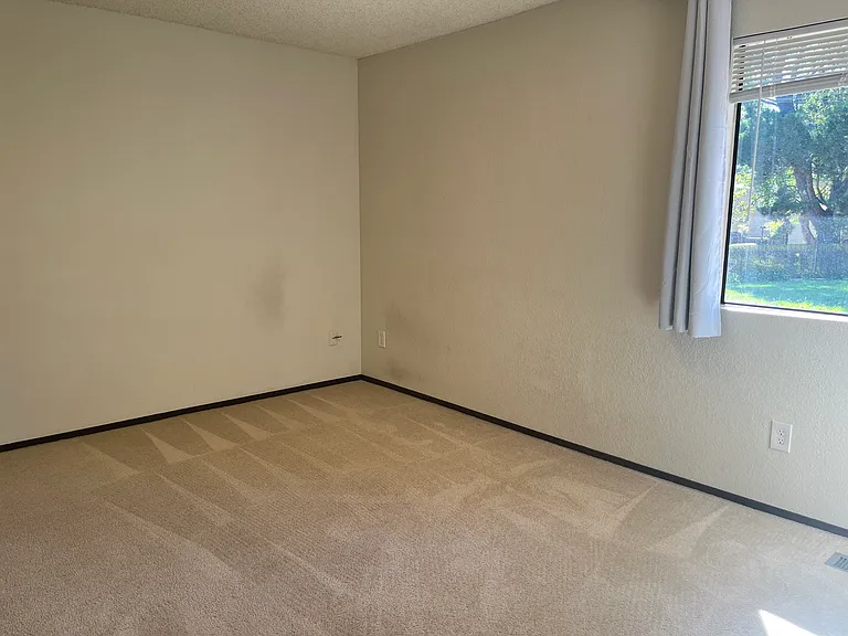 161 Peach Ter — Photo 23