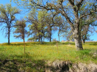 0 Salt Crk, Three Rivers, CA, 93271