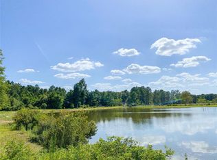 18908 Hanna Belle Dr, Cleveland, TX 77328