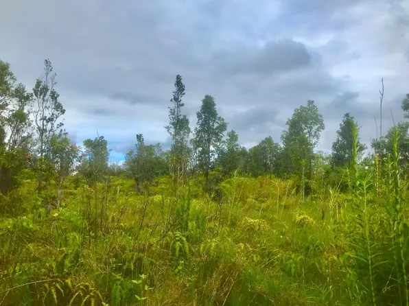 Omeka Rd Lot 25, Volcano, HI 96785