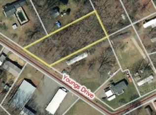 0 Youngs Dr, Rutherfordton, NC 28139