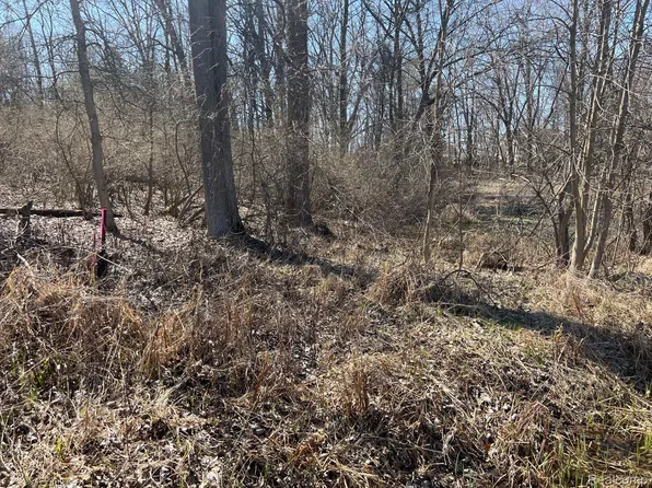 Vl 1.98 Ac Lake Lapeer Dr, Metamora, MI 48455
