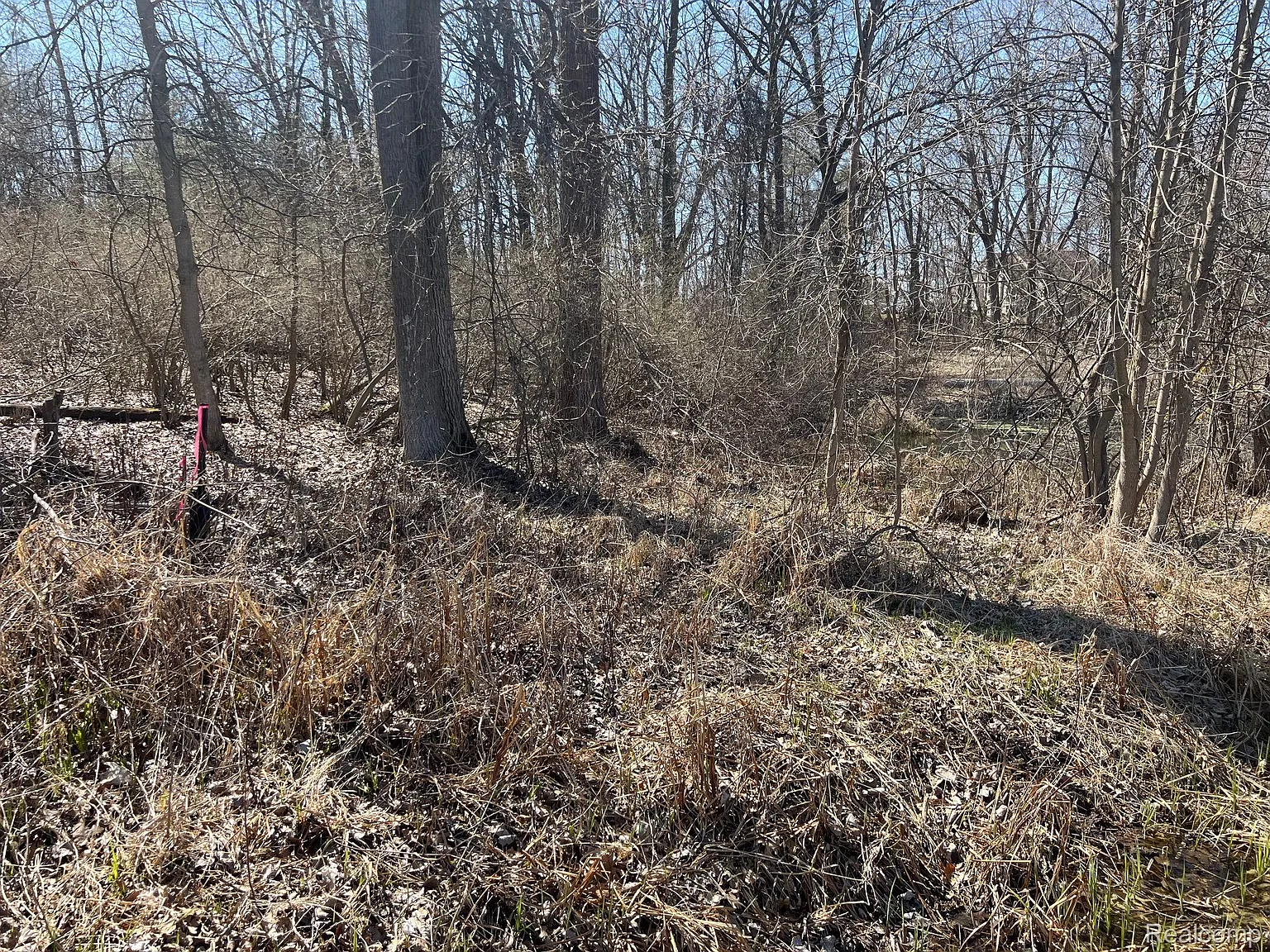 Vl 1.98 Ac Lake Lapeer Dr photo 1