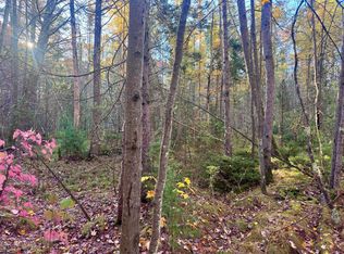 11469 Dale Ct, Minocqua, WI 54548