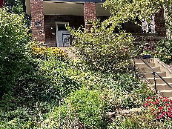 Street view front of house