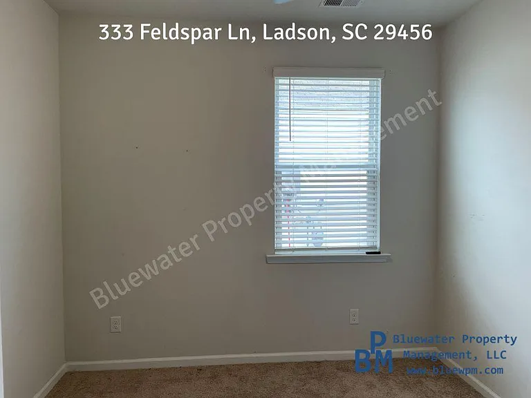 333 Feldspar Ln — Photo 3