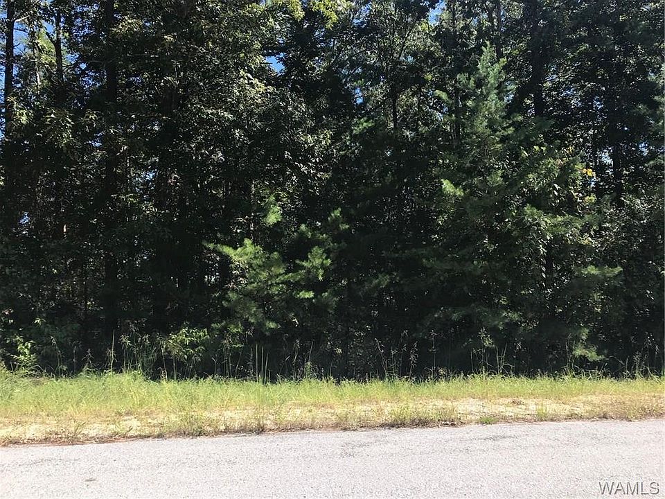 2nd image of 10 Dee Cunningham Rd