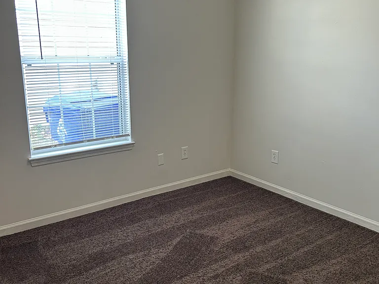 305 Rose Marie Ln — Photo 19