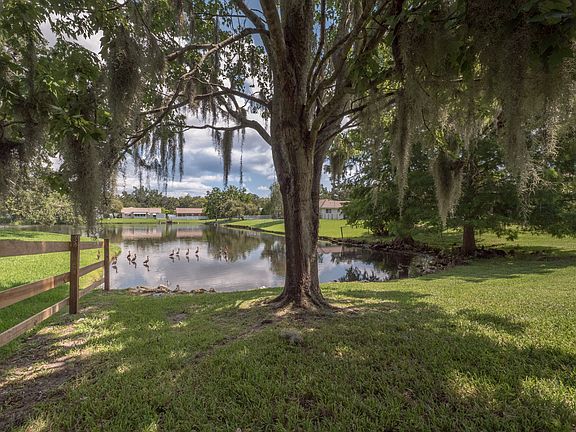 Beautiful backyard pond