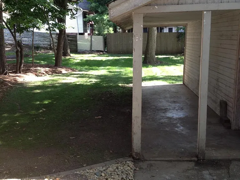 Back yard