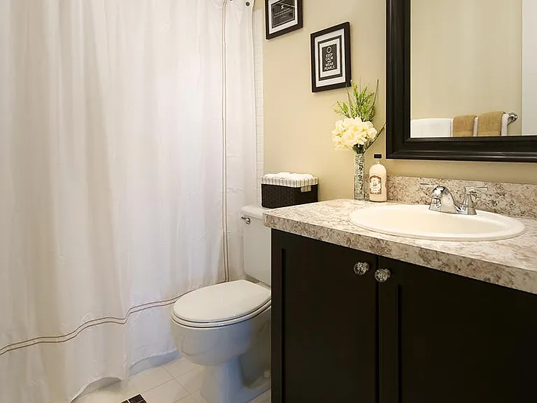 Hall Bathroom