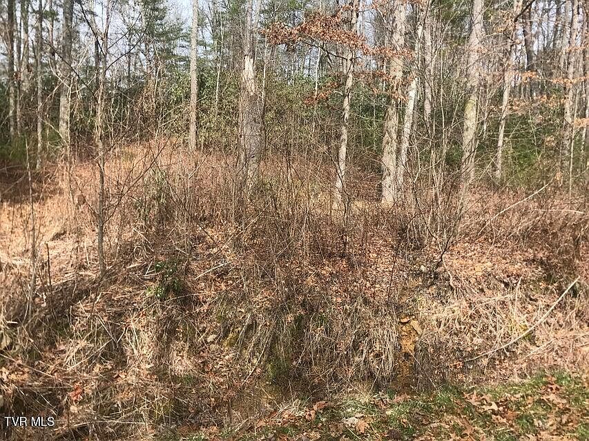 1st image of 0 Hiddenwood Dr