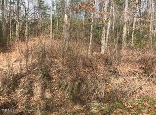 0 Hiddenwood Dr, Mountain City, TN 37683