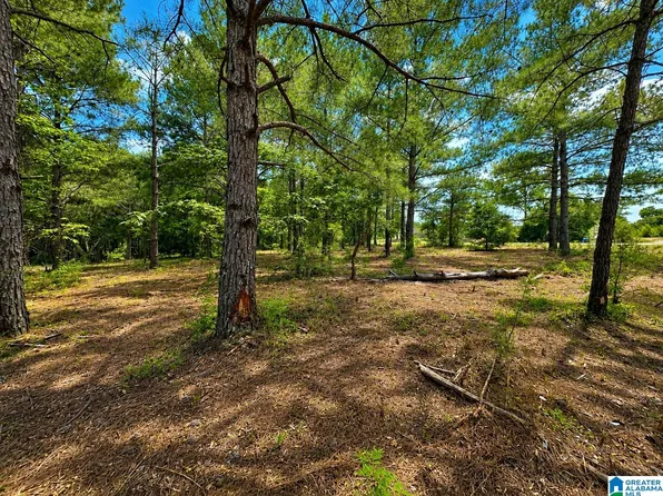 0 County Road 21 N #Na, Marbury, AL 36051