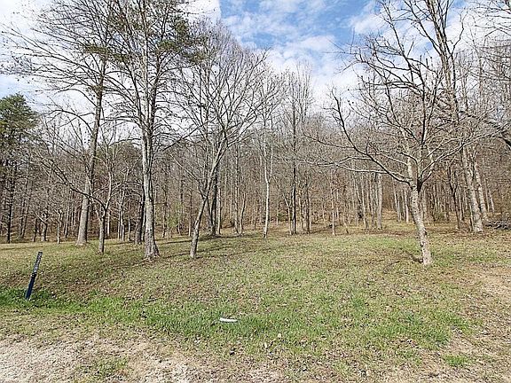 2nd image of 93 Saddle Brooke Dr