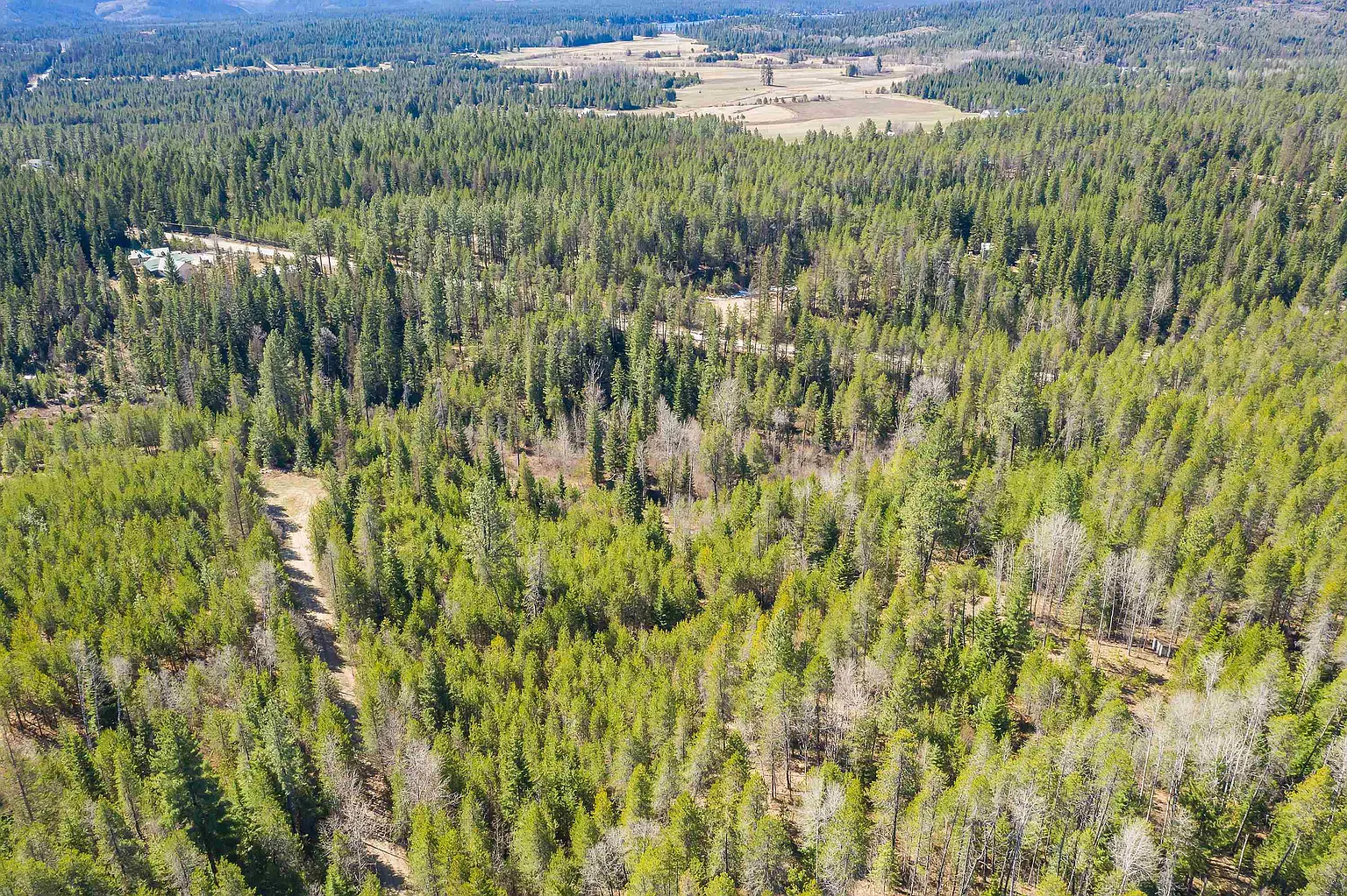 1232 Vista Dr photo 1