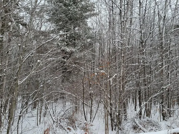 7 Pinewood Ct, Lac Du Flambeau, WI 54538